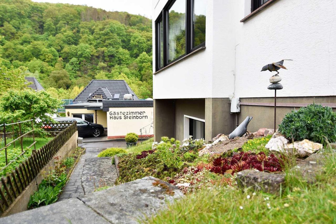 Gaestehaus Steinborn Hotel Heimbach Kültér fotó